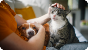 pet_insurance pet_insurance